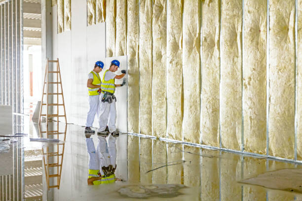 Best Insulation Removal Services  in Norwood, NC